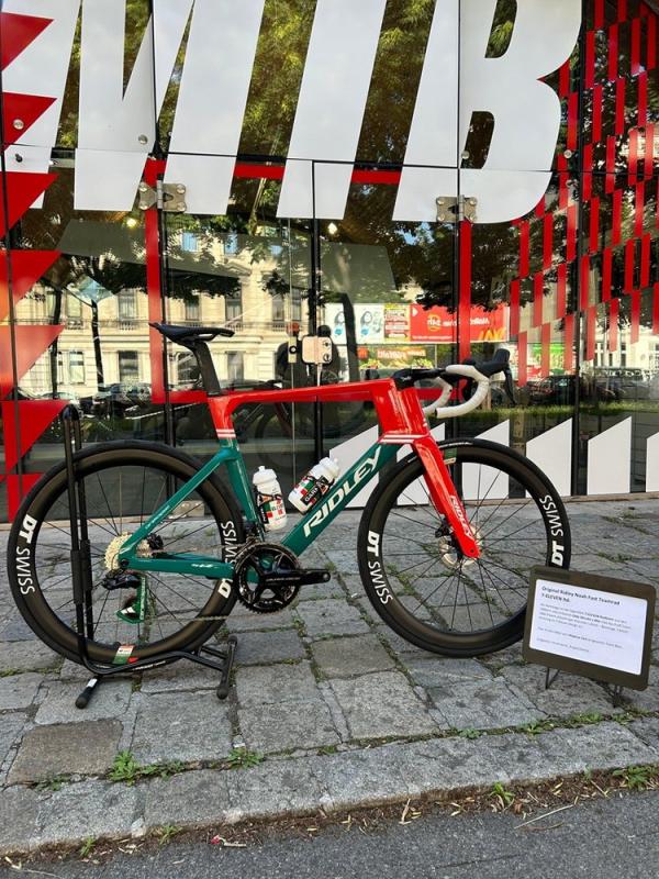 Noah FAST 7E8 *Magnus Cort* 7/11(L)