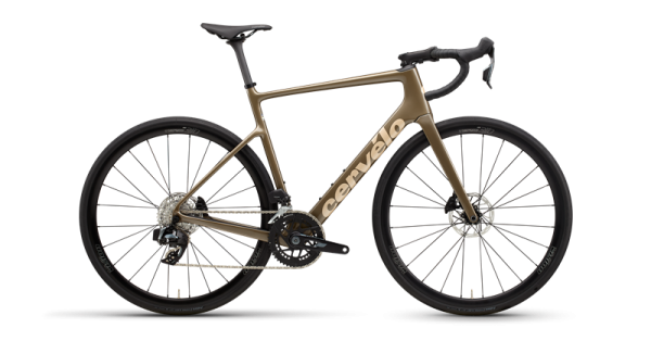 Caledonia Rival AXS Mocha 51
