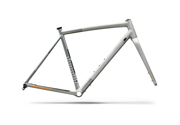 Specialized Crux DSW Frameset - D'Aluisio Smartweld Alloy Shadow Silver/California Sunshine 49
