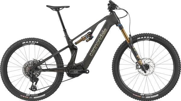 Cannondale Moterra SL 1 SM Raw