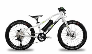 ben-e-bike TWENTY E-Power 250Wh, TFT-Farbdisplay
